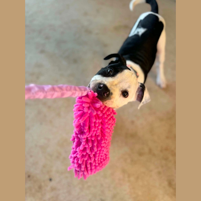 Photo of Sassy 