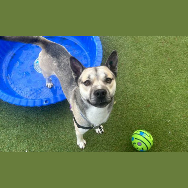 Photo of Hugo