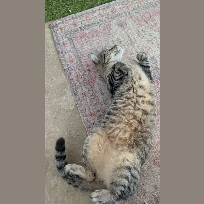 Photo of Storm