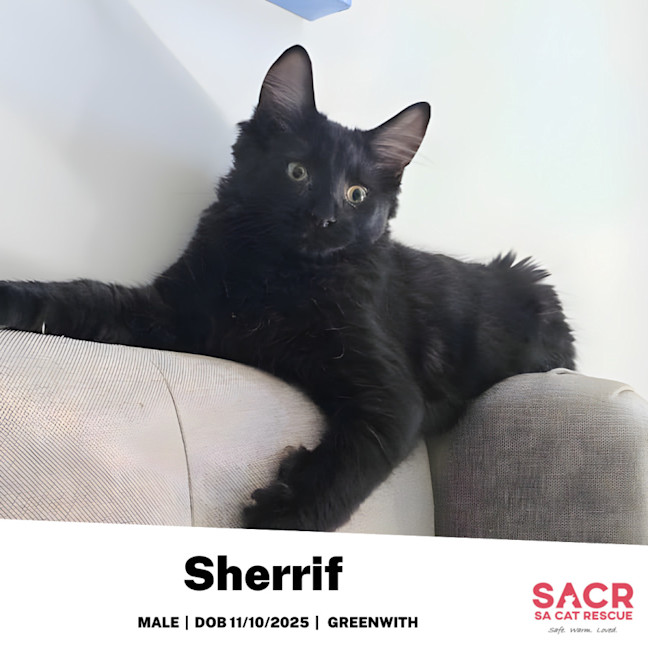 Photo of Sherrif