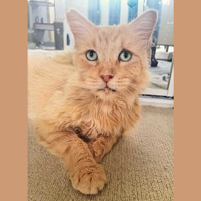 Photo of Theo