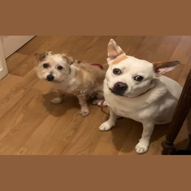 Photo of Walter And Abby