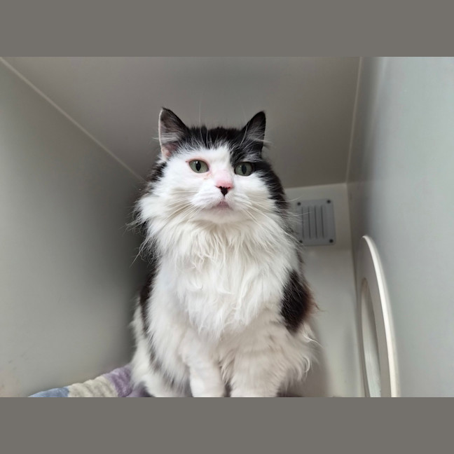 Photo of Sally