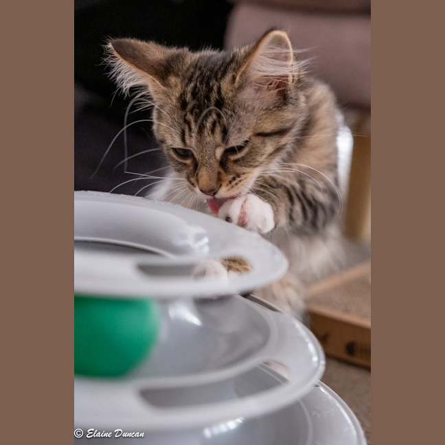 Photo of Nancy