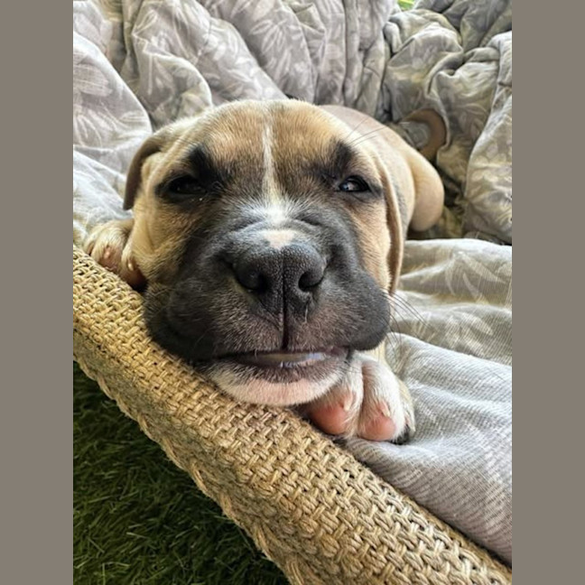 Photo of Lenny