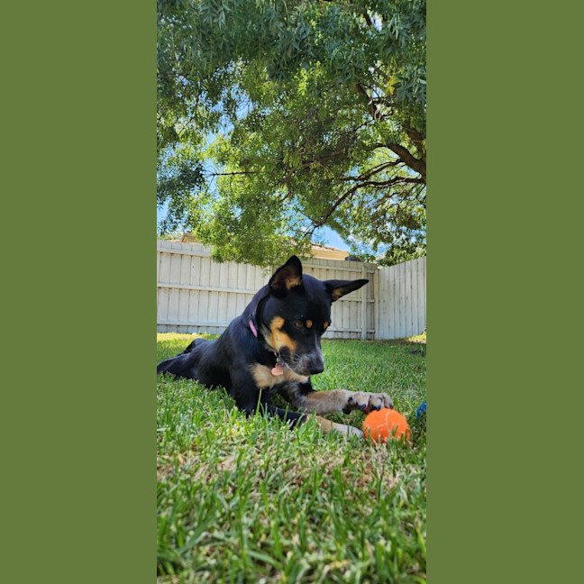 Photo of Astral