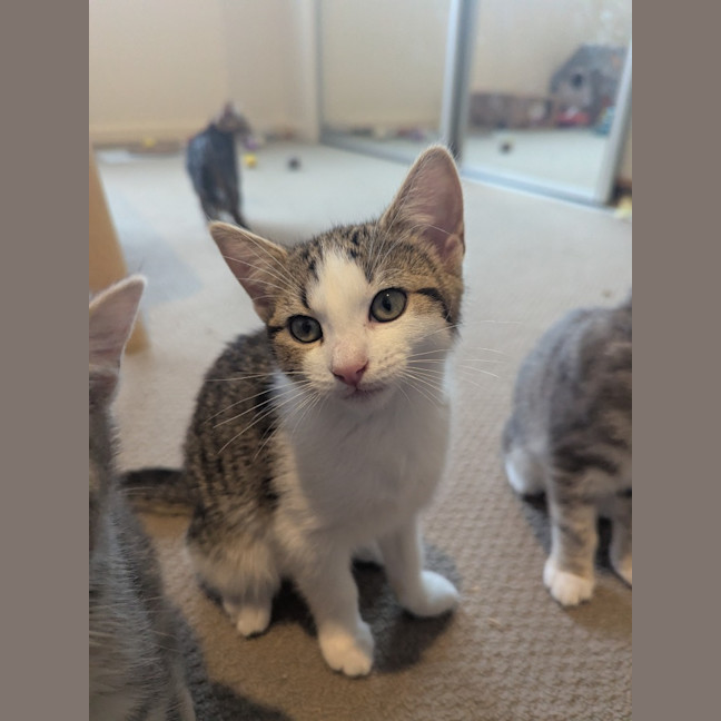 Photo of Sofia Scotty