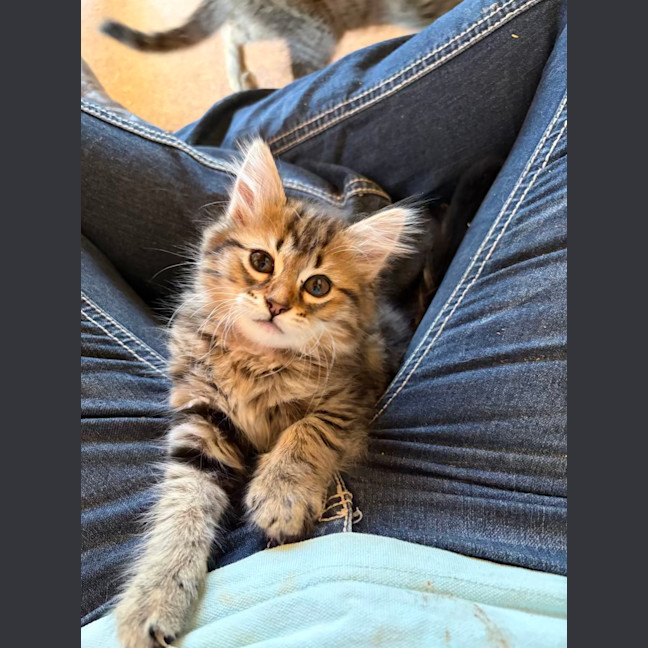 Photo of Samantha
