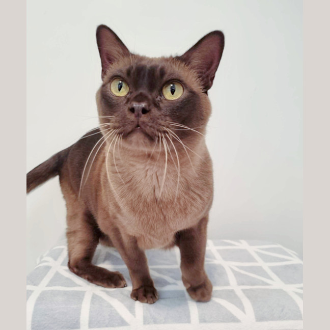 Photo of 🪕Banjo🪕