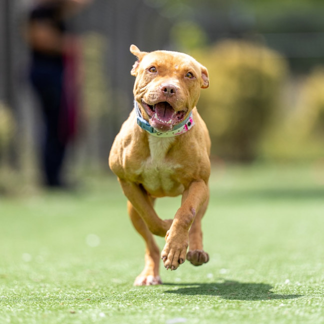 Photo of Gertrude Imp 2343