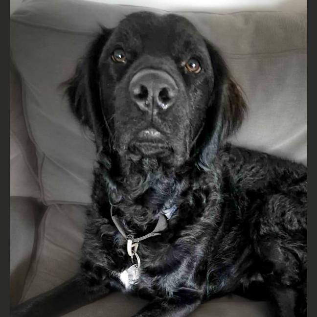 Photo of Kozzy 