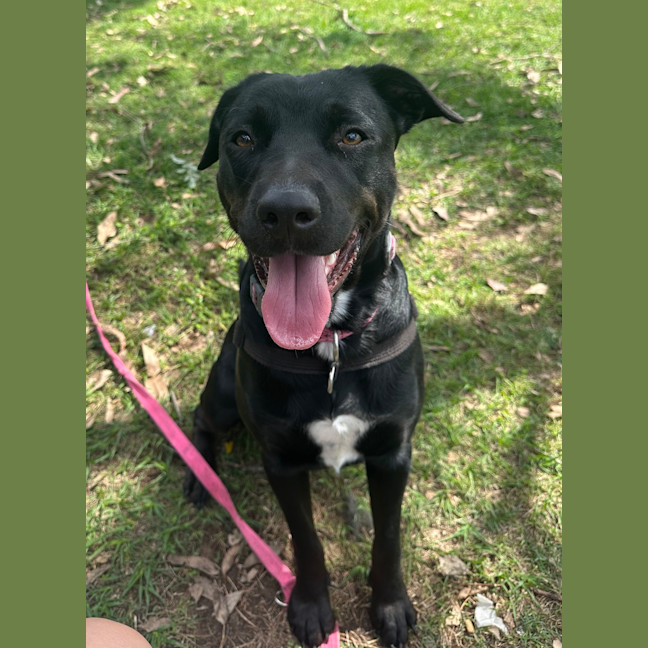 Photo of Lylah Forest