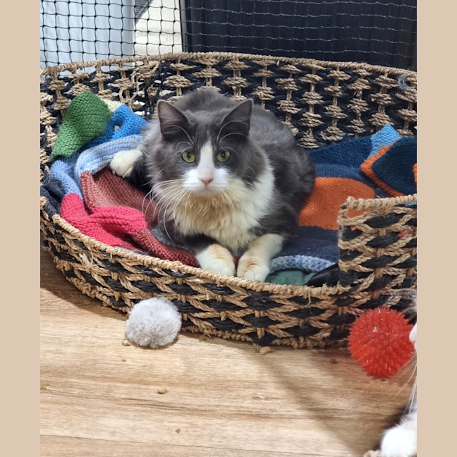 Photo of Nellie