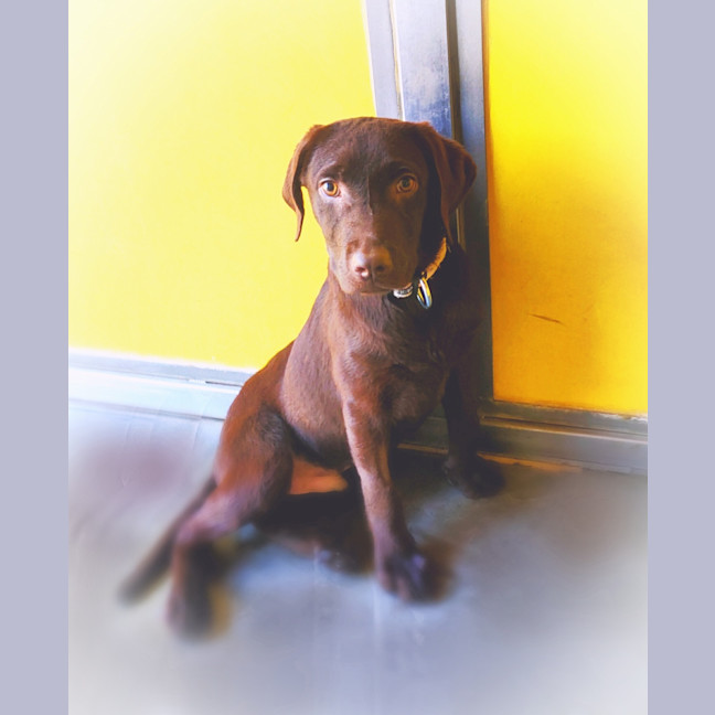 Photo of Winston