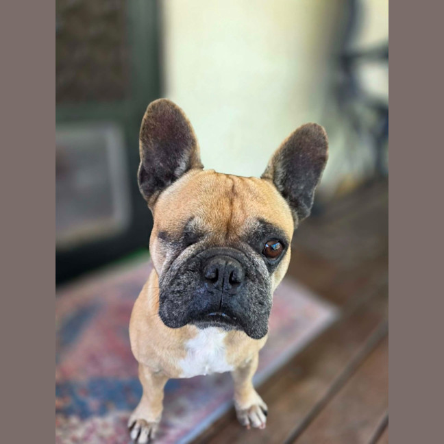 Photo of Betty
