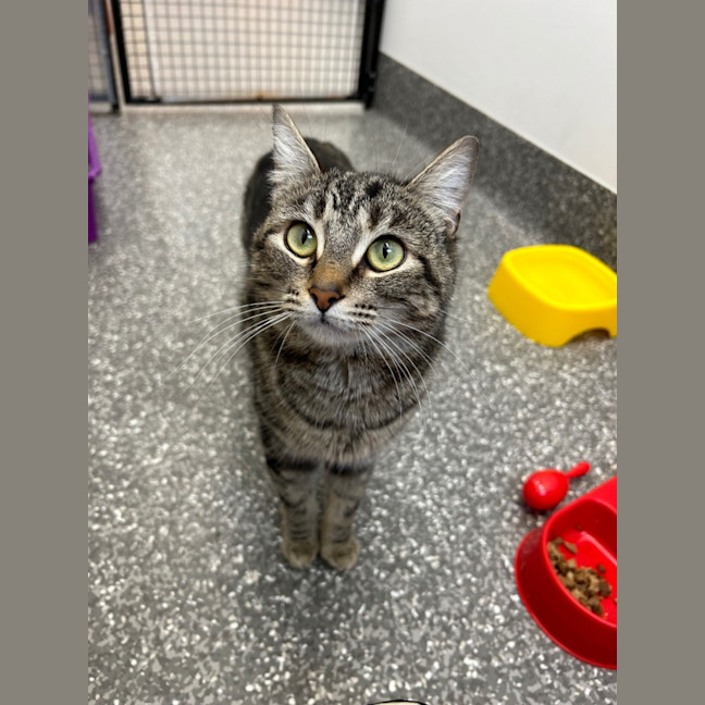 Photo of Abigale And Josie