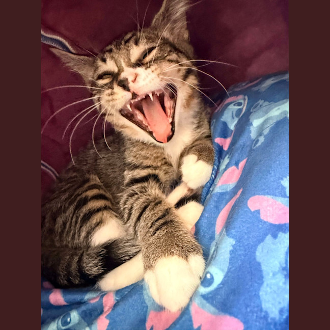 Photo of Gary & Harriet 