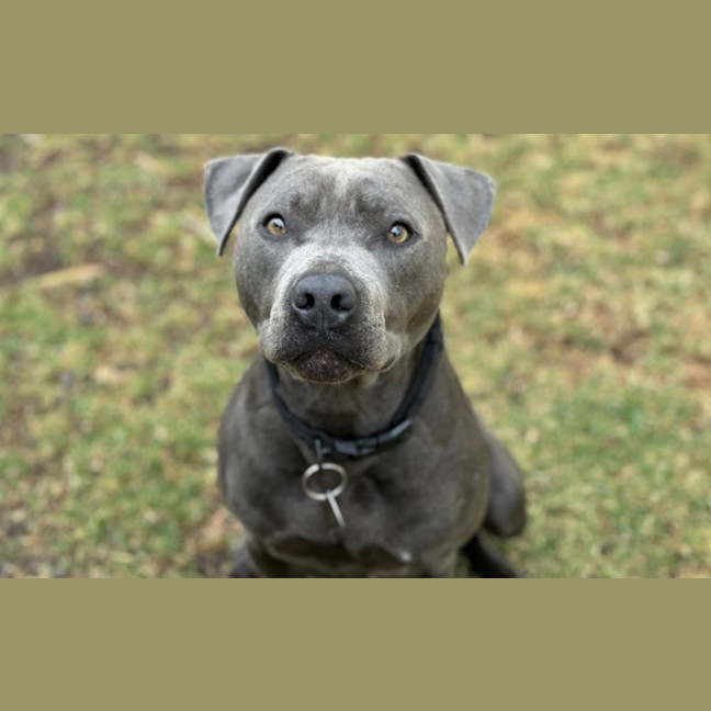 Photo of Hercules