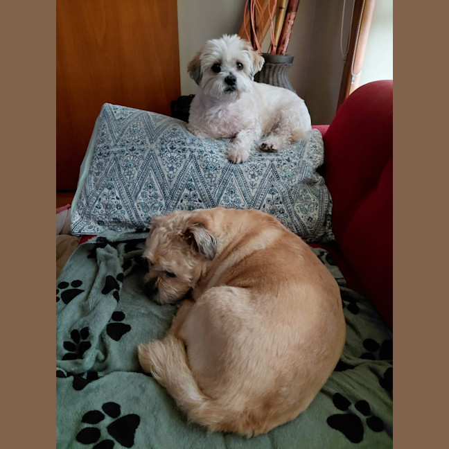Photo of Charlie And Snooka