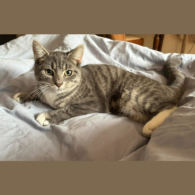 Photo of Winifred