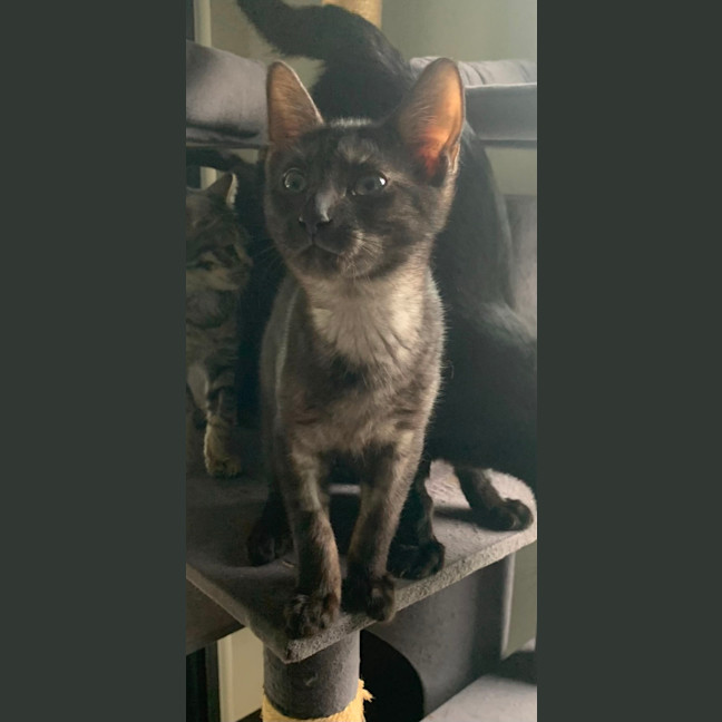 Photo of Ari