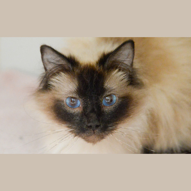 Photo of Missy 