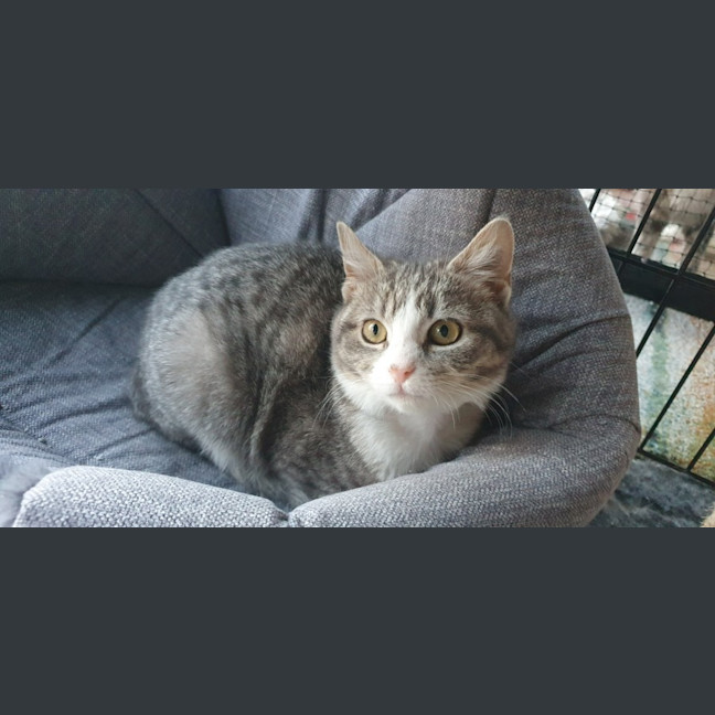 Photo of Teddy Bear 🧸