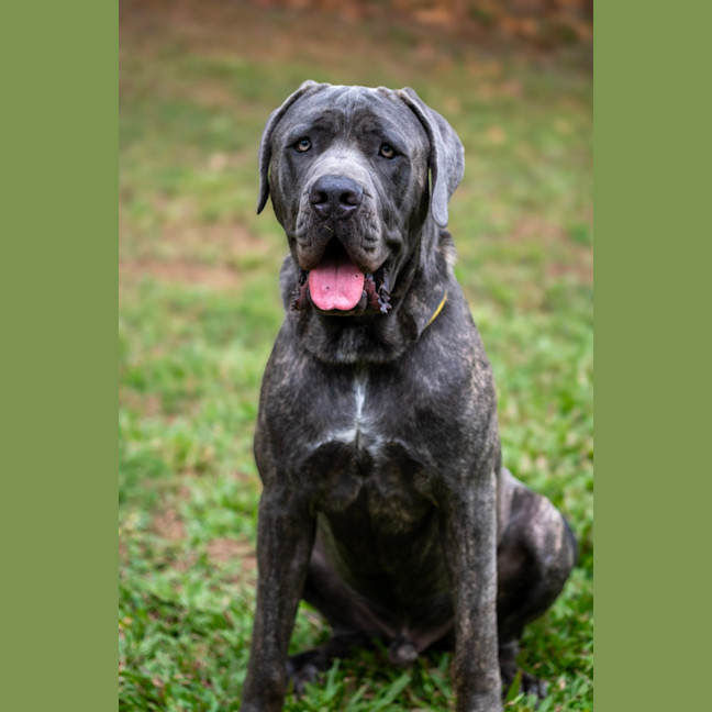 Photo of Zeus