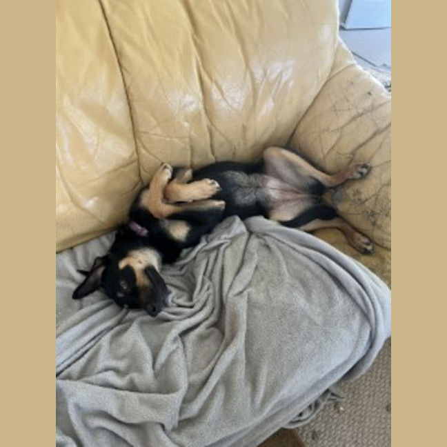 Photo of Incy Wincy
