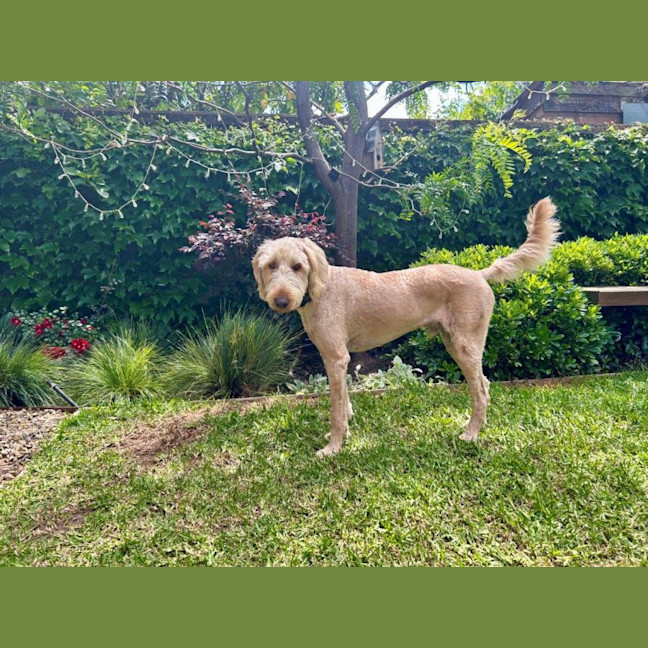 Photo of Marshall Uffelman