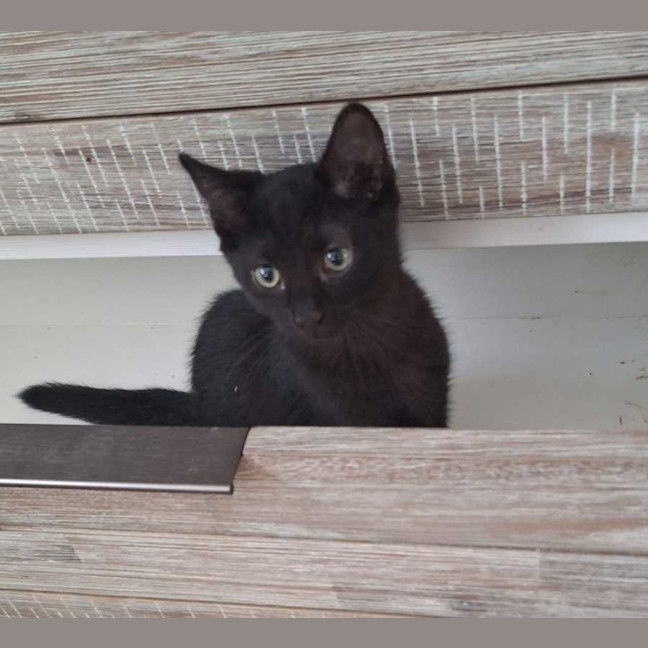 Photo of Jack