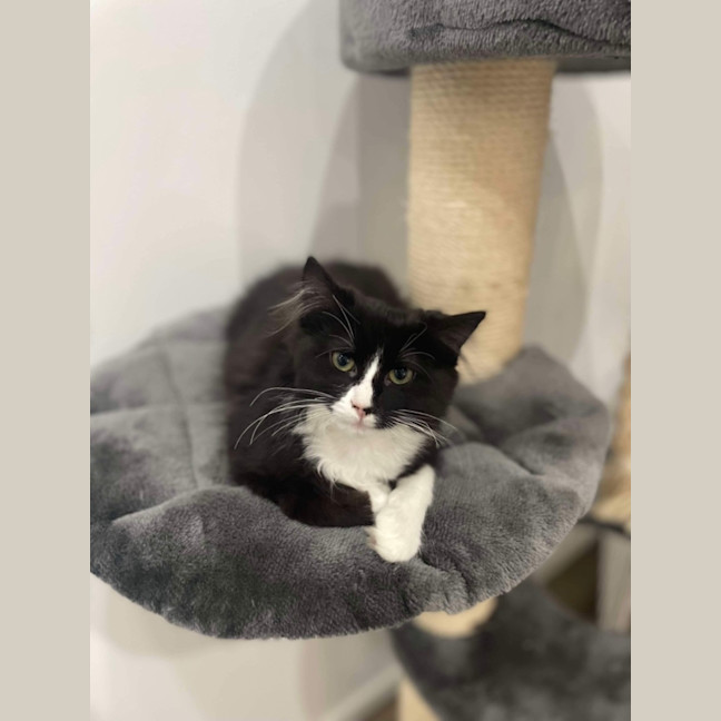 Photo of Max