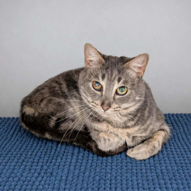 Photo of Chirp