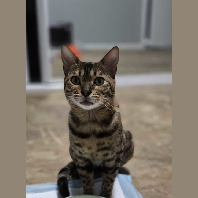 Photo of Chloe