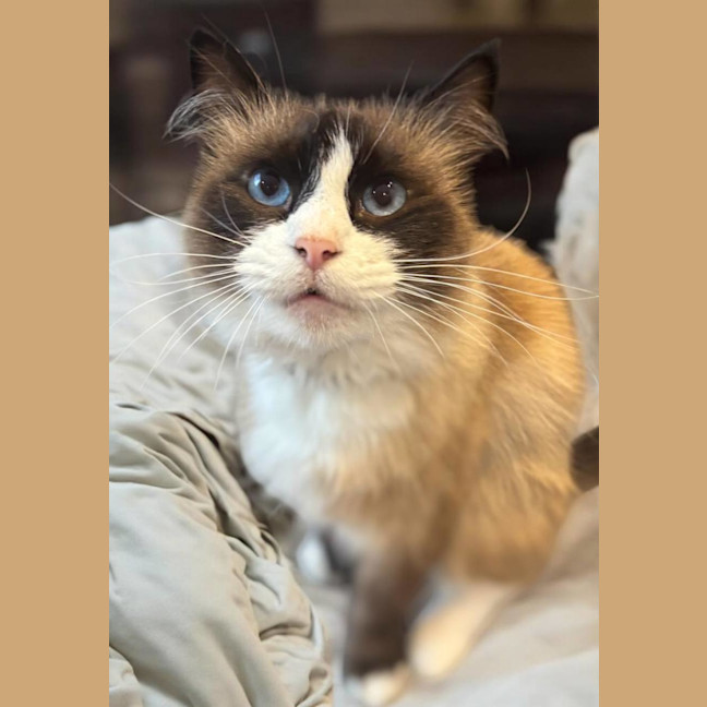 Photo of Knucker & Moley