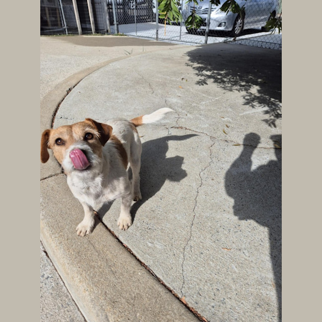 Photo of Aggie! 🌻