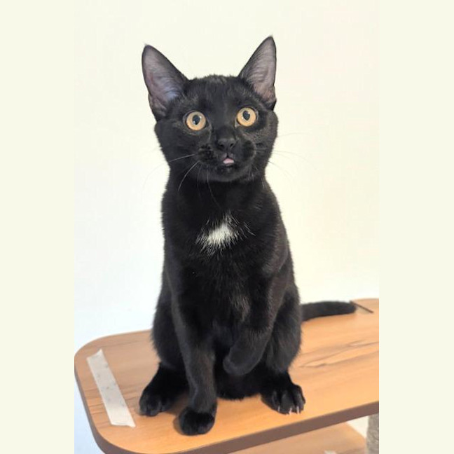 Photo of Truffle