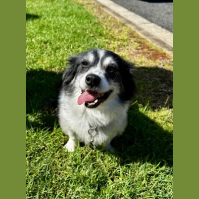 Photo of Jack