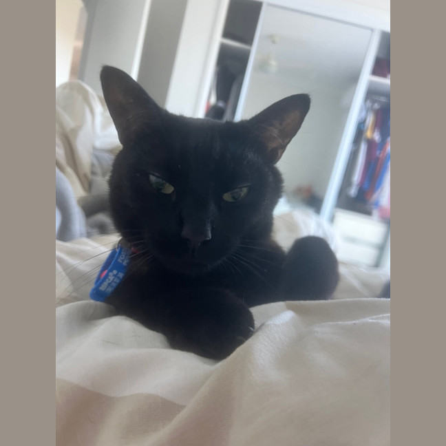 Photo of Batman