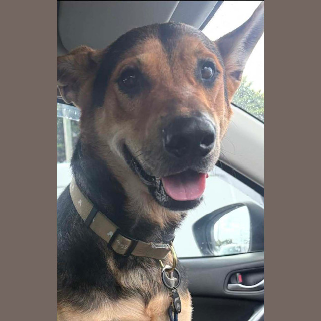 Photo of Thor