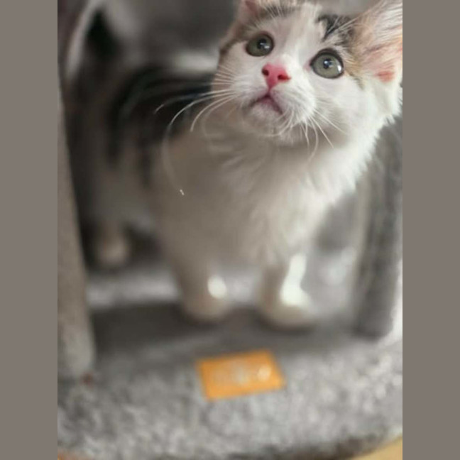 Photo of Lily