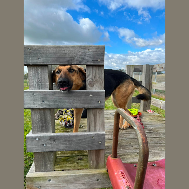 Photo of Cleo