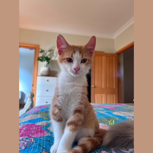 Photo of Paddy 
