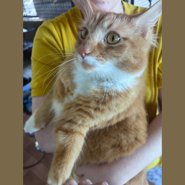 Photo of Milo