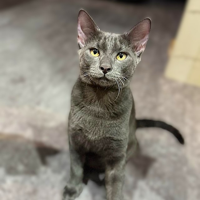 Photo of Eddi