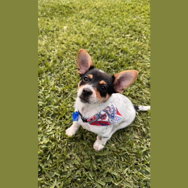 Photo of Bonnie