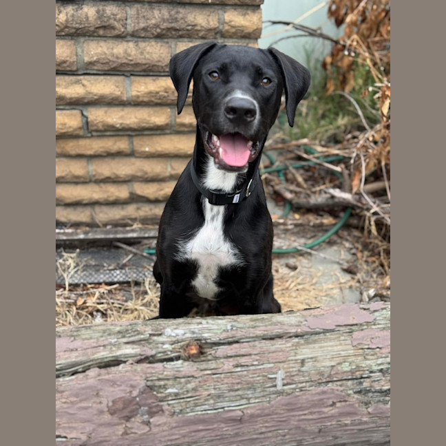 Photo of Bud Dee 