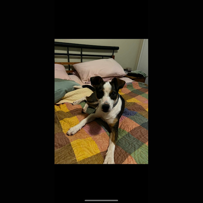 Photo of Jj