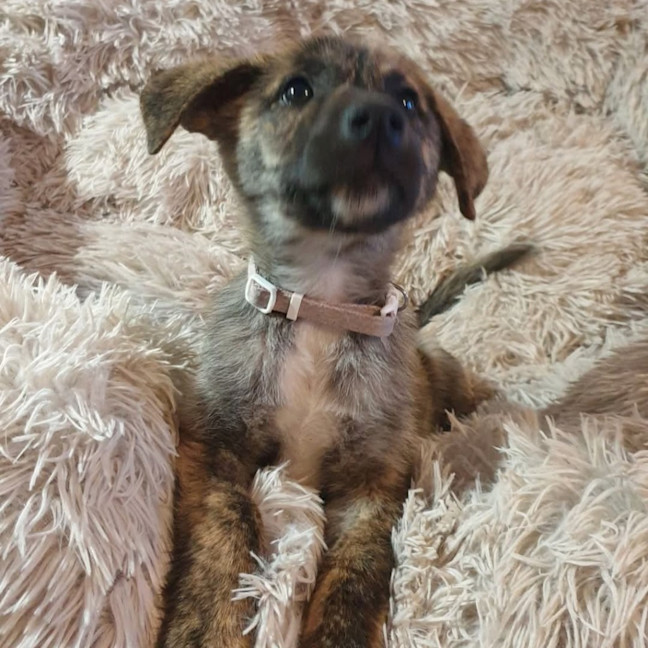 Photo of Missy Cooper