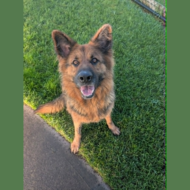 Photo of Kira